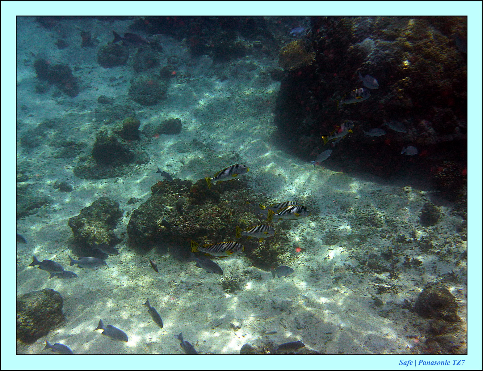 2012 - 07 - Gili - 95